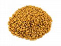 FENUGREEK SEEDS 1