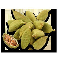 CARDAMOM WITH SHELL