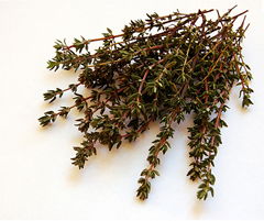 THYME LEAVES DRY