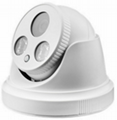 P2P IP Camera for office and shop 5