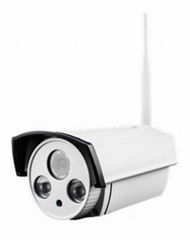 Waterproof IR Bullet IP Camera