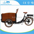 electric cargo bike