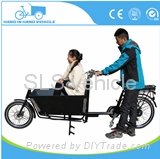 2 wheel electric bullitt cargo bike