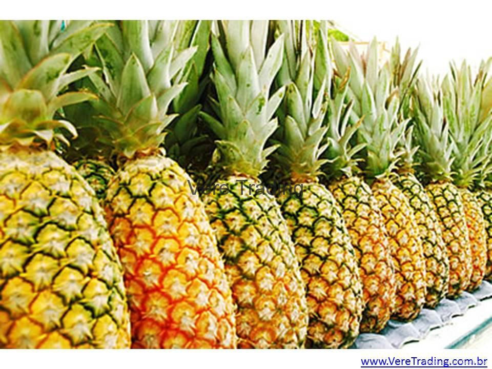 Pineapple Fresh Fruit 5