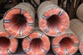 9 guage hot dipped galvanized wire 5