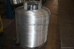 12 guage hot dipped galvanized wire