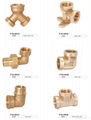 Brass Fittings