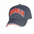 Wholesales Customized Logo Baseball Hat,Hat  005 1