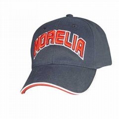 Wholesales Customized Logo Baseball Hat,Hat  005