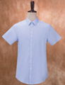 Custom Made High Quality 100% Cotton Women Ladies short Sleeve shirt