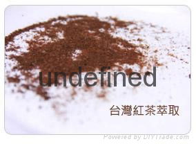 tea extract powder (instant tea powder) 3