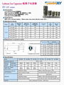 20F鋰離子電容LIC0813超級電容RY睿奕鋰超容 2
