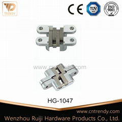 Concealed Furniture Hinge Hidden Invisible (HG-1047)