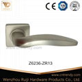 Door Handles(Trendy Brand Z6236-ZR