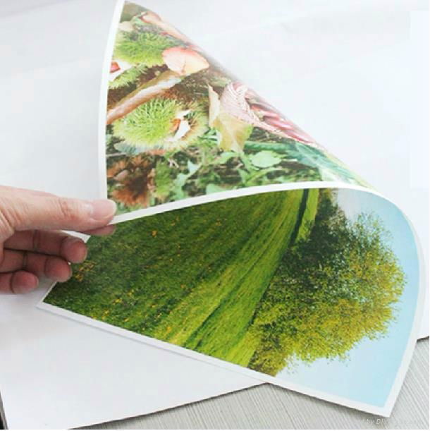 260g RC glossy photo paper