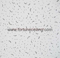 worm mineral fiber board 1