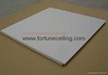 concealed Fiberglass Ceiling/board 4