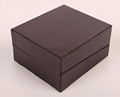 Luxury Plastic Jewelry Box 4