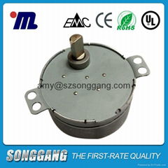 AC Small Electric Synchronous Motor TH-50 For christmas tree