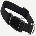 Adjustable Nylon Dog Collar with Plastic