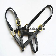 durable pvc horse halter with brass fittings