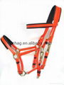 PVC marathon bridle whole set with brass fittings and foam padding 2