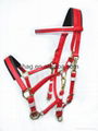 PVC marathon bridle whole set with brass fittings and foam padding 4