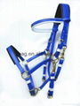 PVC marathon bridle whole set with brass fittings and foam padding 5