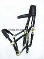 PVC marathon bridle whole set with brass fittings and foam padding