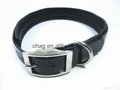 550*25*2.5mm durable tpu dog collar with soft foam padding 4