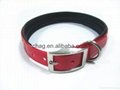 550*25*2.5mm durable tpu dog collar with soft foam padding 5
