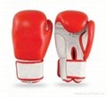 Boxing Gloves 1