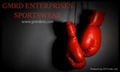 Boxing Gloves 2