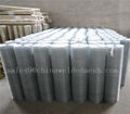 3/4"X3/4" galvanized welded wire mesh 2