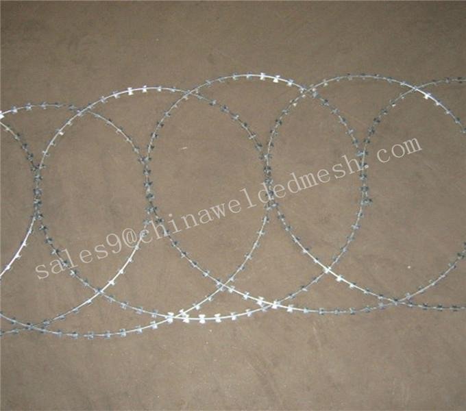 hot-dipped galvanized razor barbed wire 4