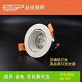 LED ceiling lamp 1