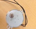 50/60hz  4w  12v for Advertising Lamp  AC gear motor SD-83-591  4