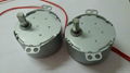 1-2RPM 4w TH-50 for cake oven low RPM AC gear motor 1