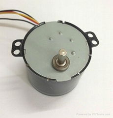 24V 5W AC Reversible Synchronous Motor SD-208-591 for conveyor  