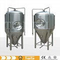 Stainless Steel (Various BBL)and Red Copper Beer Fermentation Tank