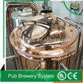 Stainless Steel (Various BBL)and Red Copper Beer Fermentation Tank 4