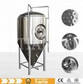 Stainless Steel (Various BBL)and Red Copper Beer Fermentation Tank 5