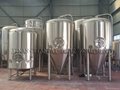 600L stainless steel beer brewing equipment 2