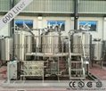 600L Industrial beer making machine with