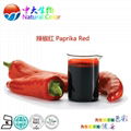 natural food color paprika red supplier 1