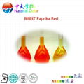 natural food color paprika red supplier 2