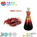 natural food color paprika red supplier 5