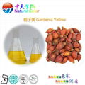 natural food color gardenia yellow pigment supplier 1