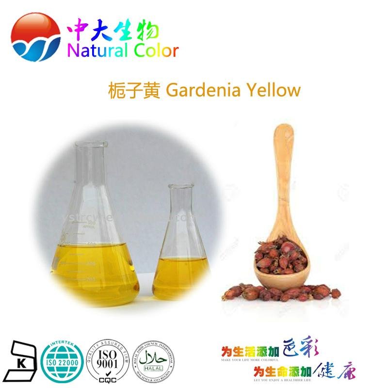 natural food color gardenia yellow pigment supplier 2