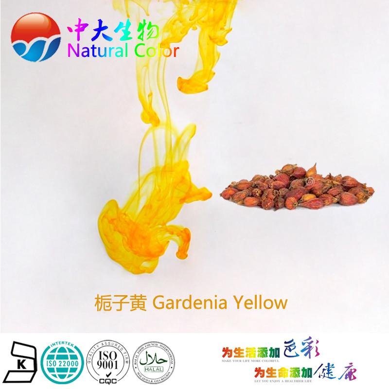 natural food color gardenia yellow pigment supplier 4